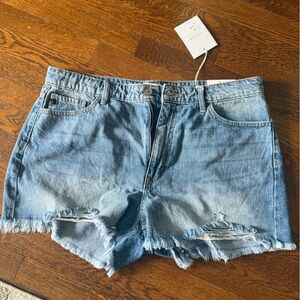 KanCan Blue Jean Shorts for Women